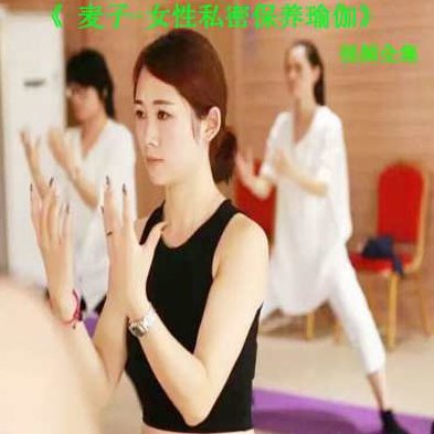 麦子魅力瑜伽视频讲座全集麦子瑜伽九练，麦子魅力瑜伽视频讲座全集，九练之瑜伽身心双修秘籍