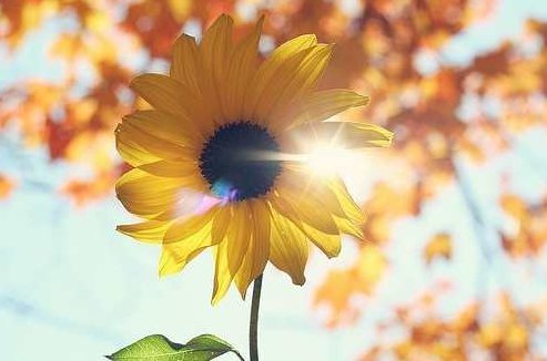 周运清 修养阳光心态 经营健康生活,周运清,阳光心态引领,健康生活经营之道,研究,基础,自信,第1张 周运清 修养阳光心态 经营健康生活,周运清,阳光心态引领,健康生活经营之道,研究,基础,自信,第1张