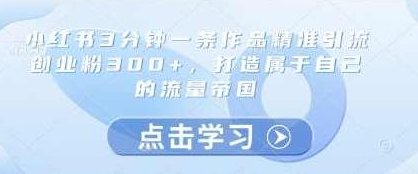 小红书3分钟一条作品精准引流创业粉300+，打造属于自己的流量帝国,课程,抖音,小红书,第1张