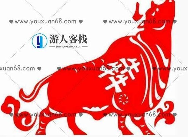 山中策市训练营 2021年11月_百度云网盘视频教程，山中策市训练营 2021年11月视频教程,视频教程,视频,第1张