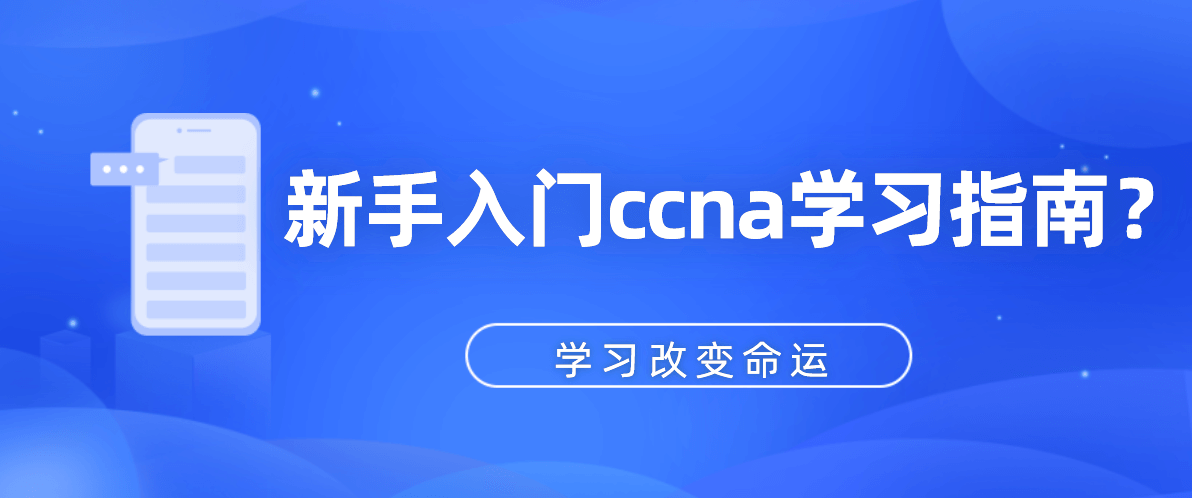 CCNA 学习教程指南全集诚商数据在线，CCNA学习教程指南全集，诚商数据在线全解析