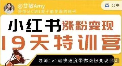 艾敏19天小红书涨粉变现特训营-第7期，快速学会小红书涨粉，月入十万轻松变现!艾敏19天小红书涨粉变现特训营-第7期，解锁流量密码，轻松月入十万+的涨粉秘诀！