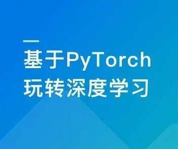 PyTorch深度学习开发医学影像端到端判别，基于PyTorch的医学影像端到端判别，深度学习在医学影像分析中的应用