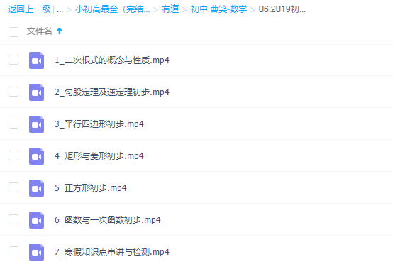 （初中数学)曹笑初二数学寒假培优班（人教版)曹笑初二数学寒假进阶培优班（人教版），数学思维与解题技巧的深度探索