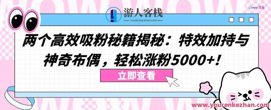 两个高效吸粉秘籍揭秘：轻松涨粉5000+揭秘两个高效吸粉秘籍，快速提升粉丝数5000+的秘诀分享,抖音,秘籍,揭秘,第1张