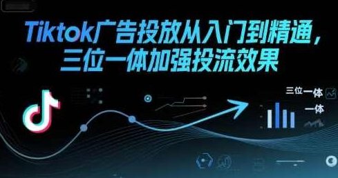 Tiktok广告投放从入门到精通，三位一体加强投流效果，Tiktok广告投放实战秘籍，入门到精通，一体投流优化技巧
