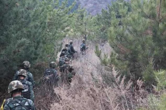 【导图训练】高雁鹏7天高效使用XMind思维导图，导图训练高雁鹏，XMind思维导图7天高效运用指南