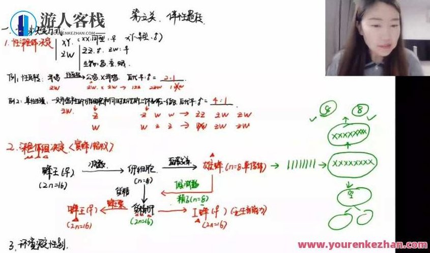 于佳卉 高三生物2021年秋季班,视频,第2张