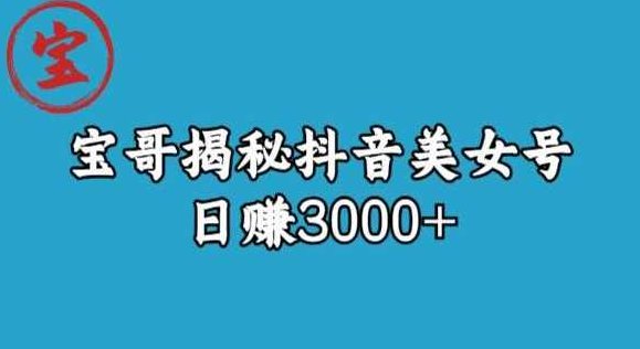 宝哥揭秘抖音美女号玩法，日赚3000+【揭秘】宝哥独家揭秘，抖音美女号运营策略，轻松日赚3000+深度解析,课程,视频,教程,第1张