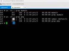 深入学习swoole进程开发管理全套教学视频课程（21集）深入探索Swoole进程开发管理，全套教学视频课程（21集全）,课程,视频,视频课程,第1张