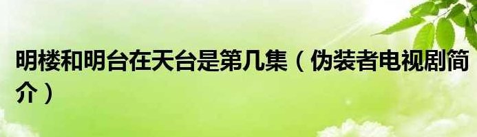 时台明 创造高收入的秘密（全集）时台明揭秘高收入创造之道（全解析）