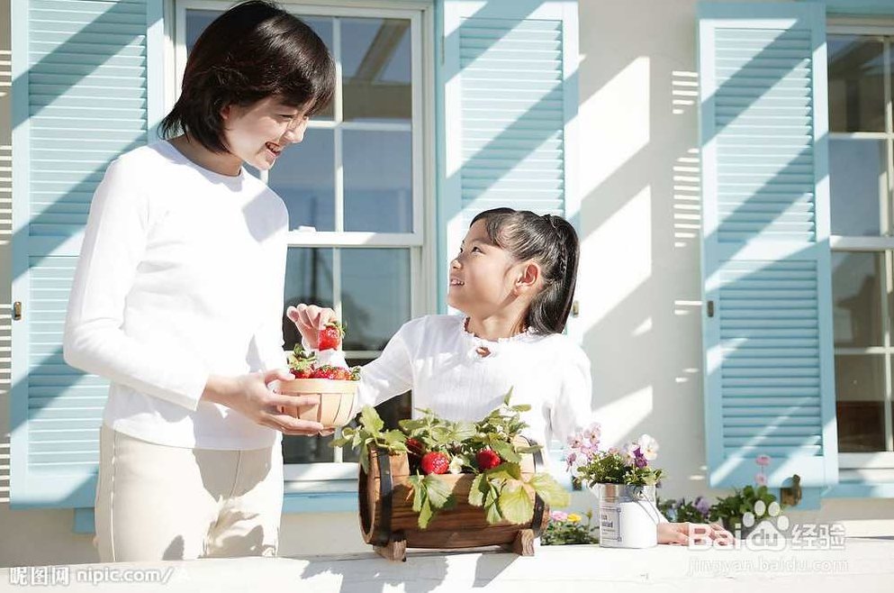 家教宝典 家教现场-今天我们怎样做父母，家教宝典，父母指南——今天我们如何智慧育儿