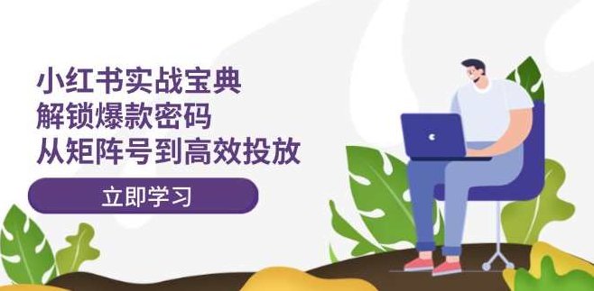 小红书打爆款实战课，解锁爆款密码，从矩阵号到高效投放，小红书爆款营销策略实战课，解锁增长密码，矩阵号运营与精准投放艺术