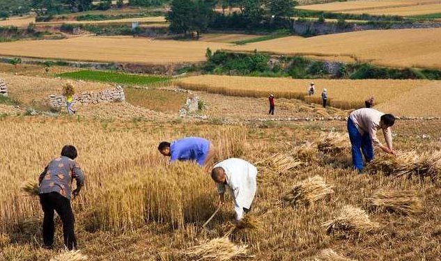 怎样做不被人收割的韭菜金股典系列教程,金股秘籍,如何成为股市的智者,避免被收割的韭菜典系列教程,课程,教程,第1张 怎样做不被人收割的韭菜金股典系列教程,金股秘籍,如何成为股市的智者,避免被收割的韭菜典系列教程,课程,教程,第1张