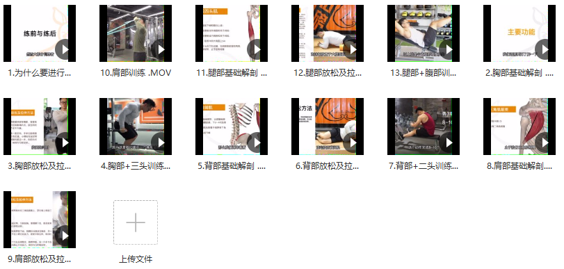 小萝卜四分化训练（基础版）小萝卜四分化训练，基础版进阶之路,课程,基础,训练计划,第2张
