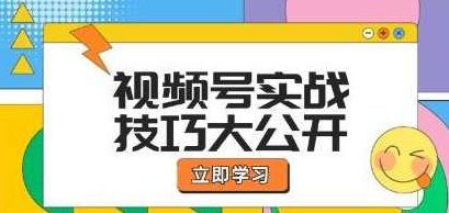 《视频号实战技巧》选题拍摄、运营推广、直播带货一站式学习，视频号实战技巧，全攻略一站式学习，从选题拍摄到运营推广及直播带货