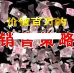 杜云生全集-杜云生《价值百万的销售策略》杜云生全集，揭秘杜云生价值百万的销售策略与实践