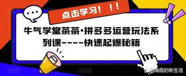 牛气学堂茶茶•拼多多运营玩法－快速起爆秘籍，牛气学堂茶茶，拼多多运营快速起爆秘籍解析与实战策略