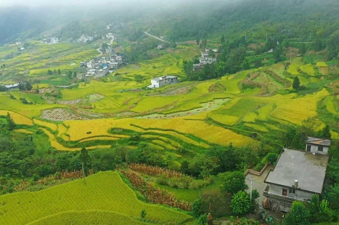 田野 怎样起个好名字（名字、名称与运势)RMVB格式6讲，田野中的命名艺术，名字、运势与RMVB格式的六讲,专家,第1张