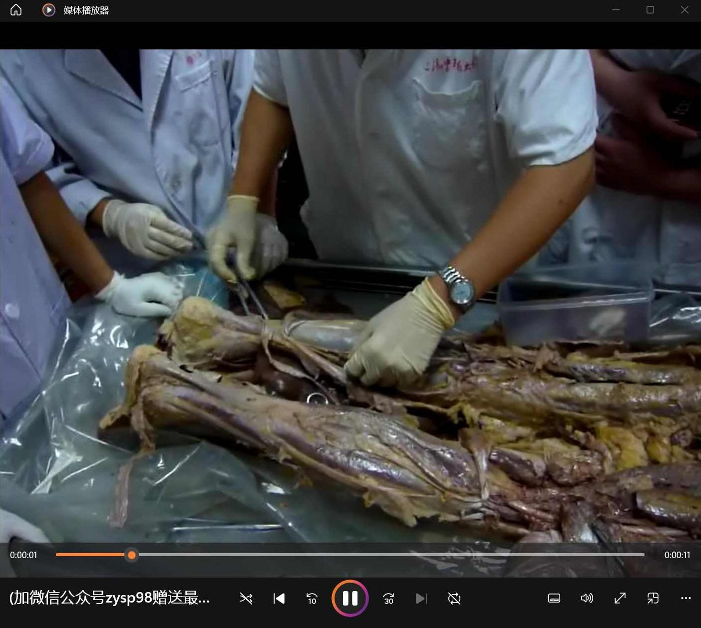 真人解剖班视频_全部真人演示的基础解剖学视频_法医解剖视频，法医解剖视频精华，真人演示基础解剖学视频全收录，全真人演示基础解剖学视频集，法医解剖精髓，深度解析人体结构