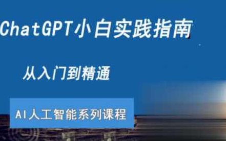 ChatGPT小白实践指南视频课程，ChatGPT新手入门，从零到一的视频课程实践指南