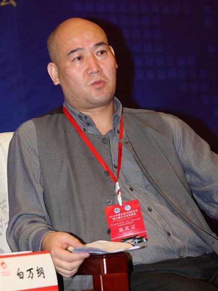 白万纲 卓越集团管控系列-财务管控，白万纲卓越集团管控系列之——财务管控策略与实践