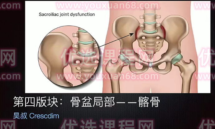 王昊全新体态矫正-体态评估与康复，王昊专业指导，全新体态矫正-体态评估与康复训练