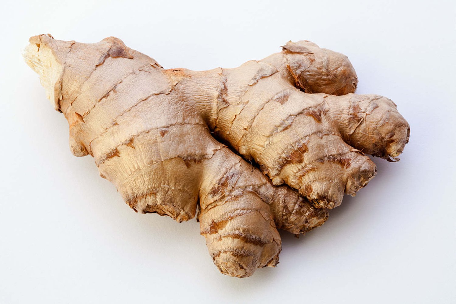 姜岚昕 人际关系大赢家，姜岚昕，人际关系策略大师，人生大赢家,发展,赢家,姜岚昕,第1张