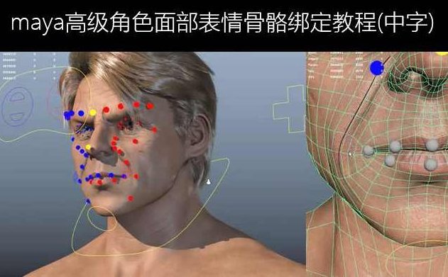 《Maya面部表情动画技术训练教程》,视频,培训教程,第1张