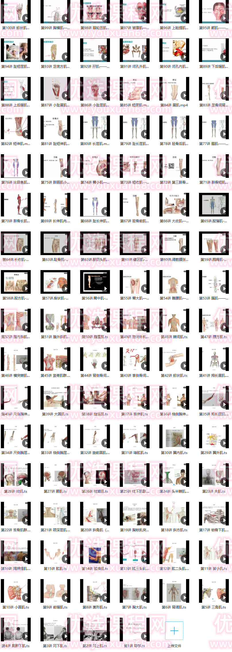 每日一肌全身肌肉疼痛讲解，每日一肌，全身肌肉疼痛的成因与解析