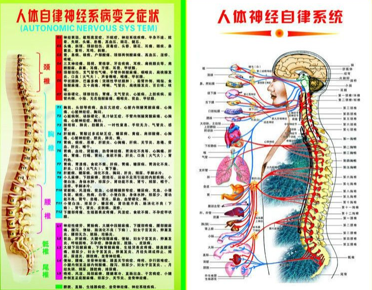 私人健身教练常用图表，私人健身教练必备，常用图表解析