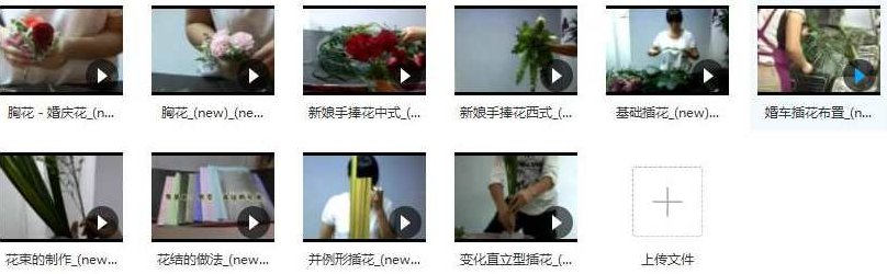 花店插花制作免费学视频教程(10集)花艺初探,十集插花制作免费学习视频教程,视频,教程,视频教程,第2张 花店插花制作免费学视频教程(10集)花艺初探,十集插花制作免费学习视频教程,视频,教程,视频教程,第2张