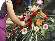 花店插花制作免费学视频教程(10集)花艺初探,十集插花制作免费学习视频教程,视频,教程,视频教程,第1张 花店插花制作免费学视频教程(10集)花艺初探,十集插花制作免费学习视频教程,视频,教程,视频教程,第1张