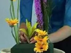 高级插花自学视频教程在线学习与下载(8集)零基础轻松掌握,高级插花自学视频教程(8集全)在线学习与免费下载指南,视频,教程,视频教程,第1张 高级插花自学视频教程在线学习与下载(8集)零基础轻松掌握,高级插花自学视频教程(8集全)在线学习与免费下载指南,视频,教程,视频教程,第1张