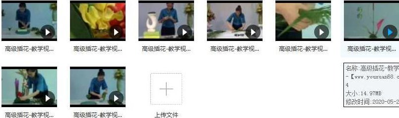 高级插花自学视频教程在线学习与下载（8集）零基础轻松掌握，高级插花自学视频教程（8集全）在线学习与免费下载指南,视频,教程,视频教程,第2张