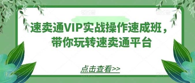 【速卖通】速卖通VIP实战操作速成班，带你玩转速卖通平台，速卖通VIP实战班，速成操作技巧，玩转全球电商平台
