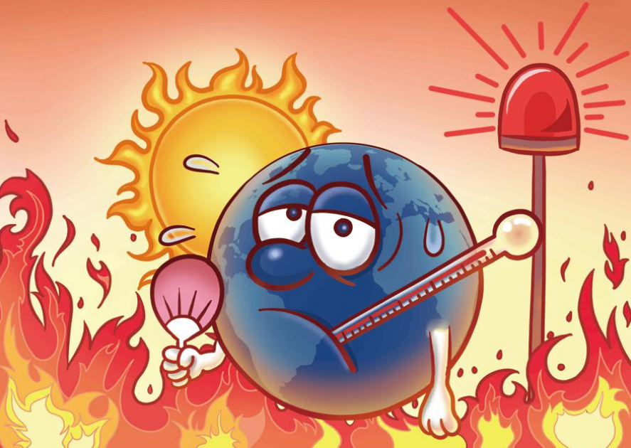 张玉梅-食品安全与用药的矛盾，张玉梅视角下的食品安全与用药的矛盾，挑战与解决之道