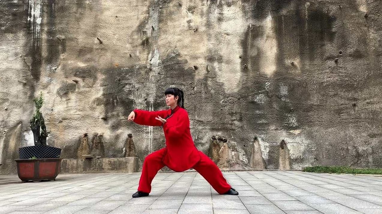 《陈式太极拳》2VCD，陈式太极拳，深度解析与实战技巧 2VCD