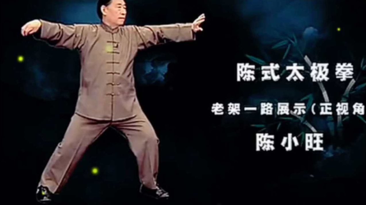 陈小旺《陈氏太极拳老架》AVI格式4集，陈小旺陈氏太极拳老架深度解析，四集AVI格式教学视频