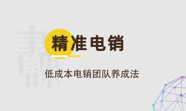 精准电销：低成本电销团队养成法，精准电销，低成本打造高效电销团队的策略与实践