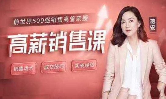 薇安 18节高薪销售课，销售精英速成课，薇安18节高薪销售课，薇安独家揭秘，18节高薪销售实战课，销售精英速成秘诀分享