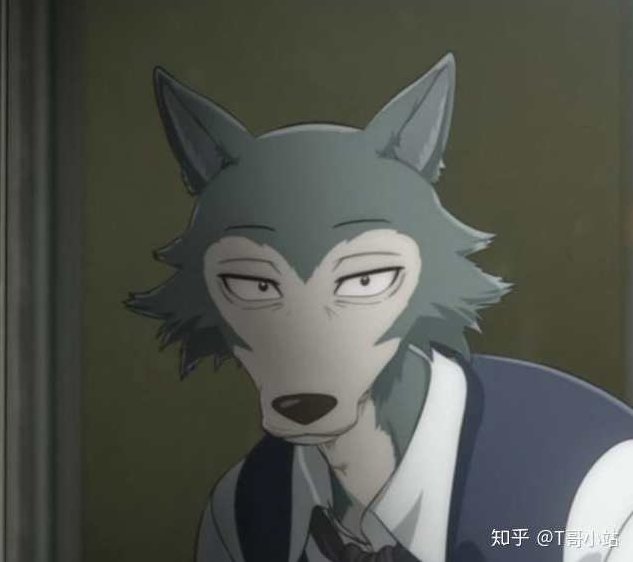 《格雷西格斗术》AVI格式36讲附书，格雷西格斗术，全面解析AVI版36讲附赠书籍