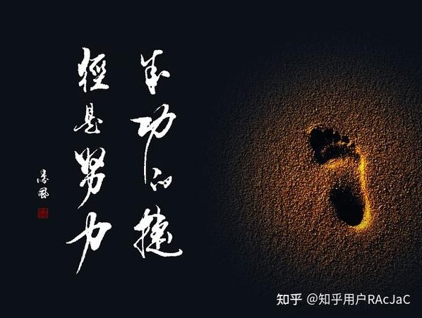 成功论谈，成功论谈，探索成就与挑战的交汇点