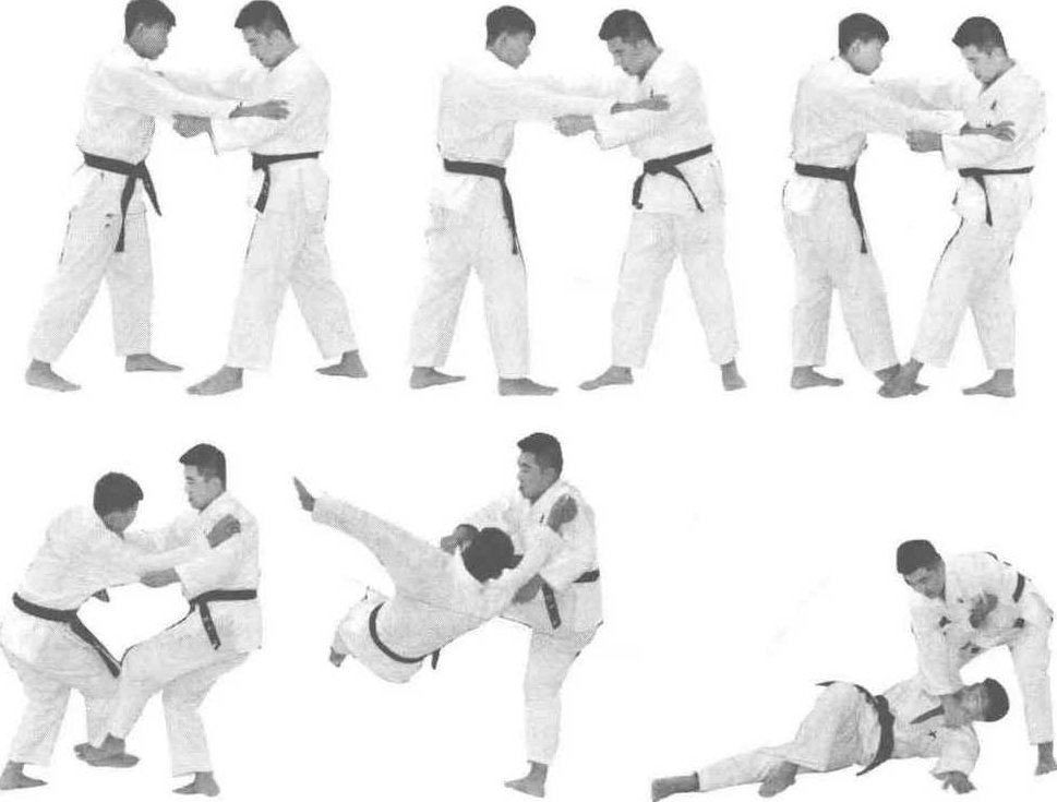 《投技和扫技》AVI格式2讲，投技与扫技，实战教学AVI格式两讲