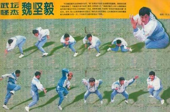 《神虎擒拿术》3CD，神虎擒拿术——三重秘籍，武艺进阶之道