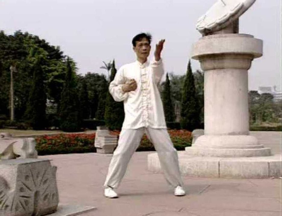 《咏春拳》视频教学合集，咏春拳，实战技巧与教学合集,视频,教学,合集,第1张