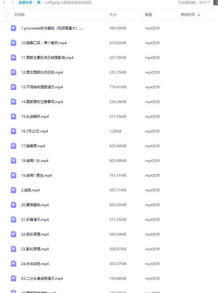 Luffypig人像漫改系统训练班2023，Luffypig人像漫改系统训练班2023，专业漫画形象定制与创作技巧提升课程,课程,视频,基础,第2张