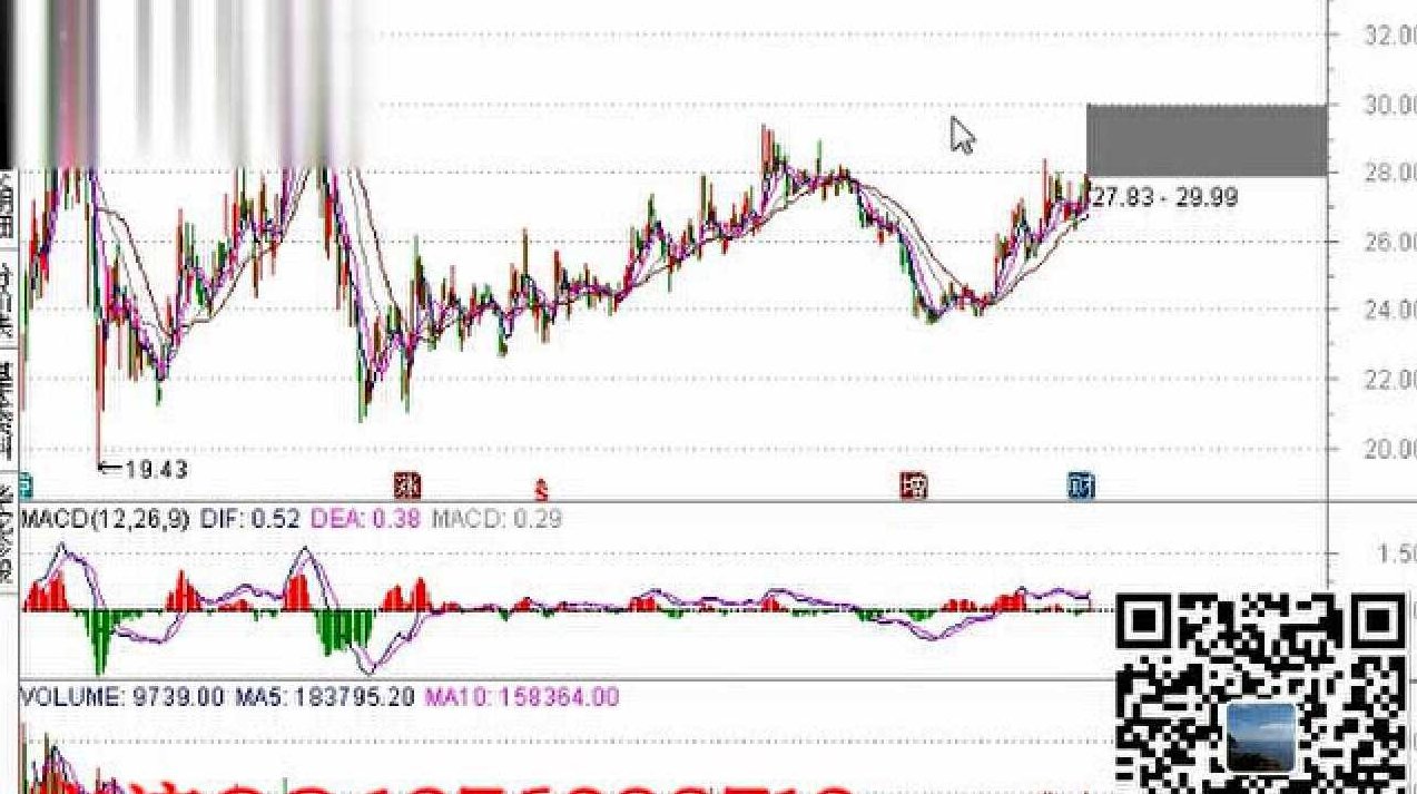 紫荆教育股票投资视频 炒股入门基础视频，紫荆教育，股票投资入门与基础解析视频,视频,基础,股票,第1张