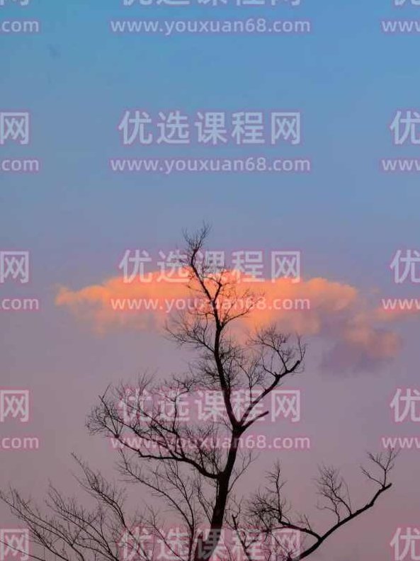 手机摄影技巧-零基础学会用手机拍出极致风光大片，手机摄影技巧，零基础轻松掌握，用手机拍出极致风光大片艺术