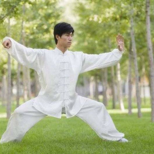 《吴式太极拳老架84式》上部+下部，吴式太极拳老架84式，上下部全解析